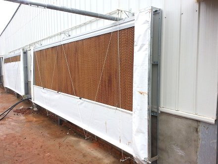 Curtain for poultry house