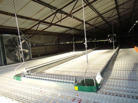 Chain feeding with lifting system 