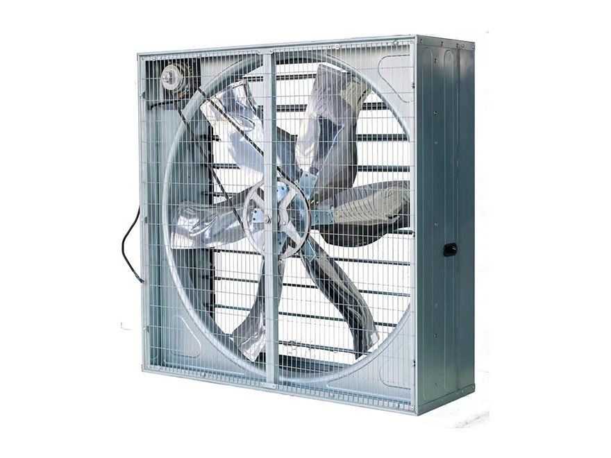 50box fan