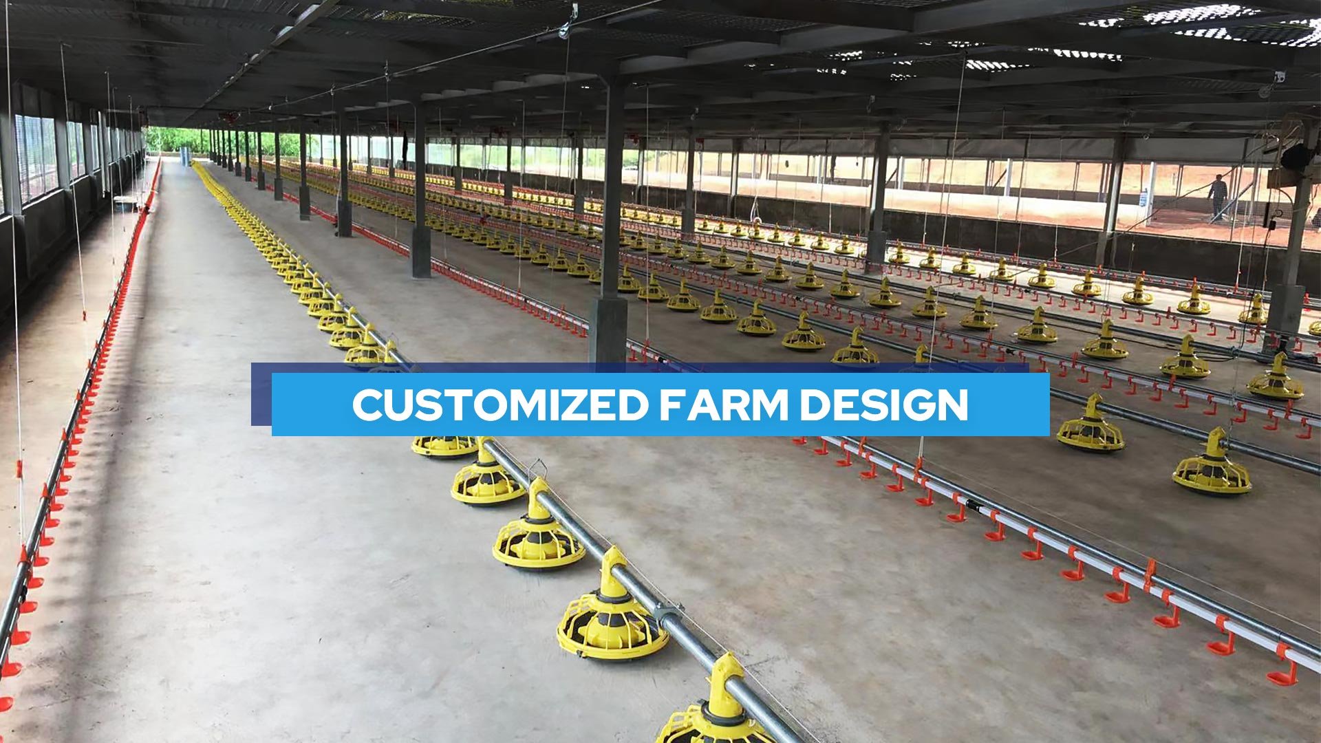 Broiler pan feeding system 